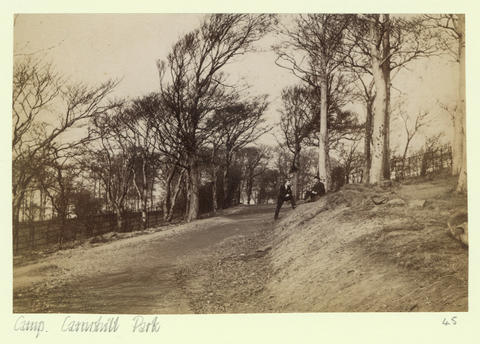 Open original Digitised item