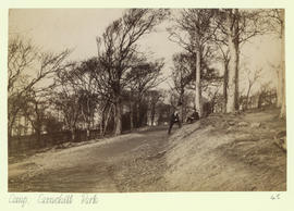 Camp, Camphill Park