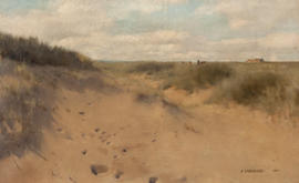 Coastal landscape