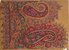 Untitled Paisley shawl design