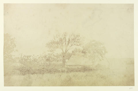Open original Digitised item