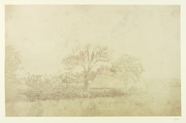 Bairds of Gartsherrie birthplace