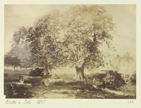 Open original Digitised item
