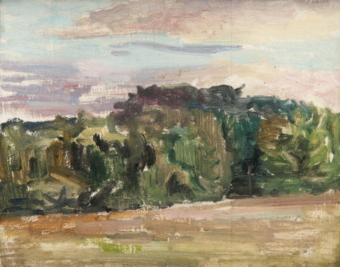 Open original Digitised item