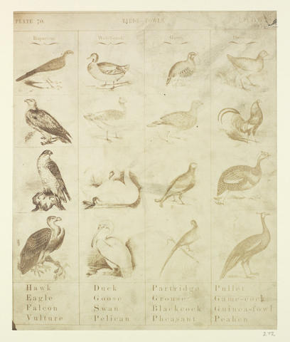 Open original Digitised item