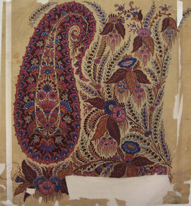 Untitled Paisley shawl design