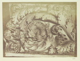 Acanthus Scroll