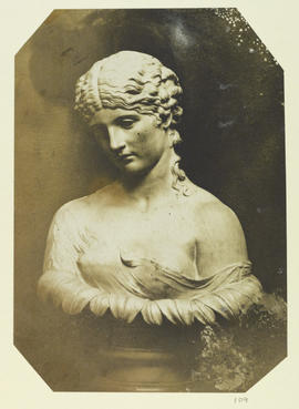 Bust of Clytie