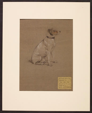 Open original Digitised item
