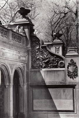 Central Park, New York