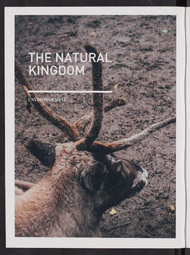 Arctic Alba; The Taxonomy of the North (Page 6)
