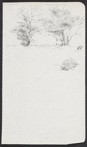 Open original Digitised item