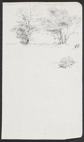 Extract from sketchbook