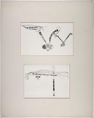 Open original Digitised item