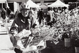 Union Square Market, New York