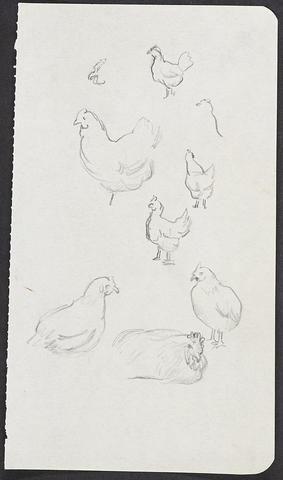 Open original Digitised item
