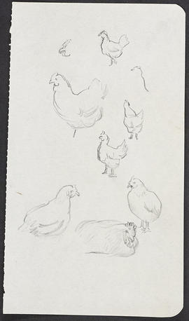 Extract from sketchbook