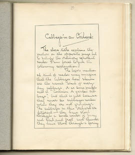 The Magazine: Volume 2 (Page 37)