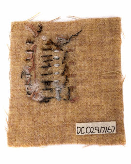 Beige wool sampler (Version 2)