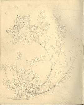 Sketchbook