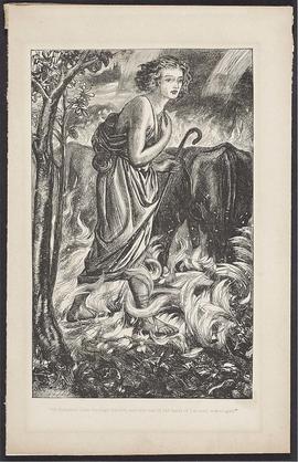 Book illustrations