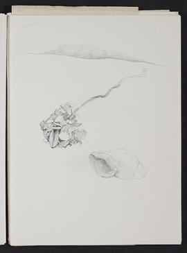 Sketchbook (Page 25)