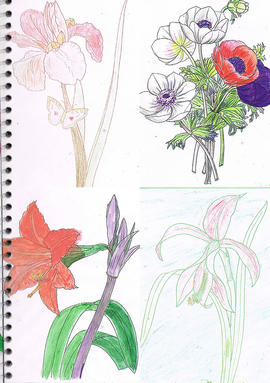 Wing Hong Creative Residency publication (Page 27)