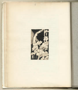 The Magazine: Volume 2 (Page 26)