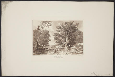 Open original Digitised item