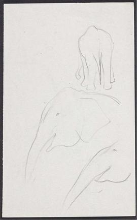 Elephant and crocodile - animal studies (Version 1)