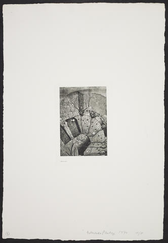 Open original Digitised item
