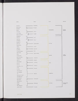 Arctic Alba; Process Journal (Page 28)