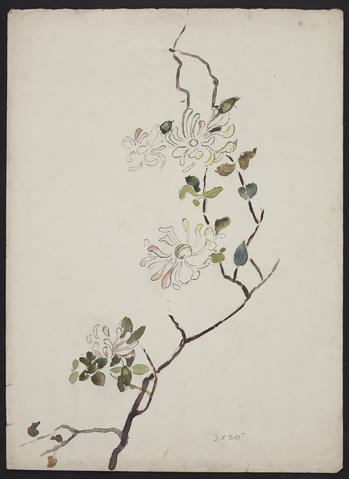 Open original Digitised item