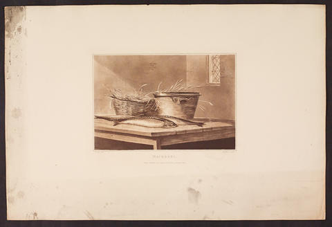 Open original Digitised item