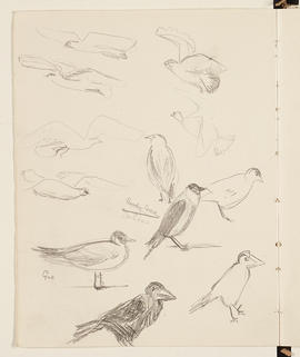 Sketchbook (Page 16)