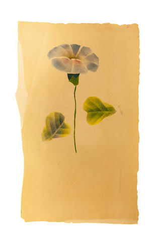 Open original Digitised item