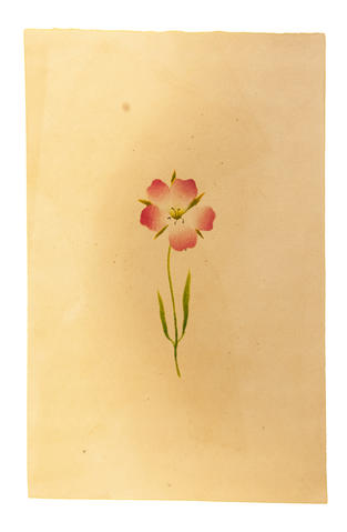 Open original Digitised item