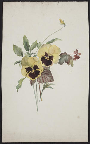 Open original Digitised item