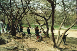 Central Park, New York