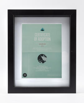 Arctic Alba; Adopt a Berg product (Version 1)
