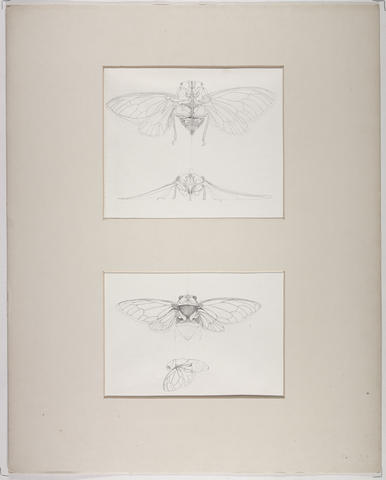 Open original Digitised item