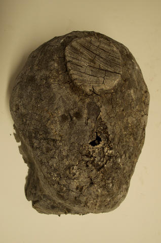Open original Digitised item