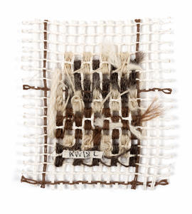 Camel hair sampler (Version 2)