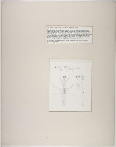 Open original Digitised item