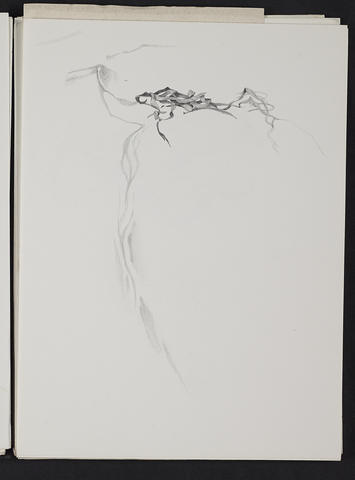 Open original Digitised item
