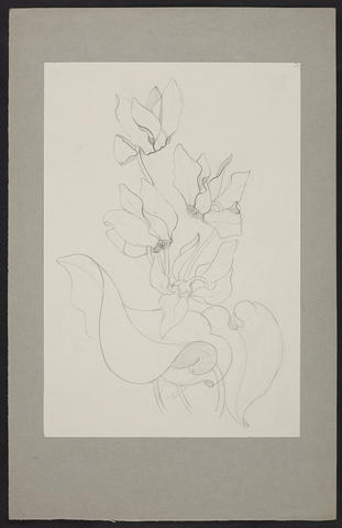 Open original Digitised item