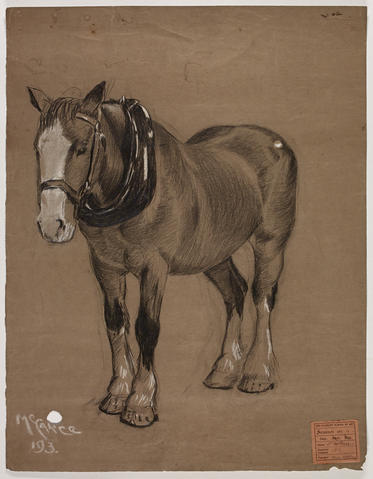 Open original Digitised item