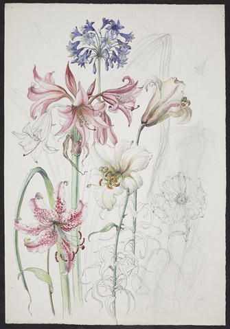 Open original Digitised item