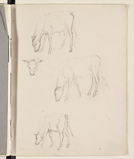 Sketchbook (Page 11)