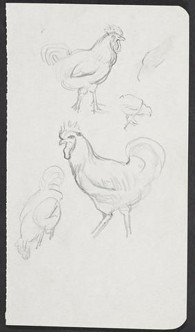 Open original Digitised item